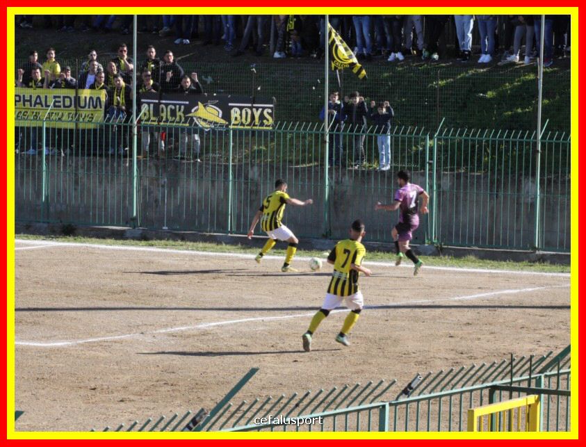 190310 Cephal_Torrenov 080_tn.jpg